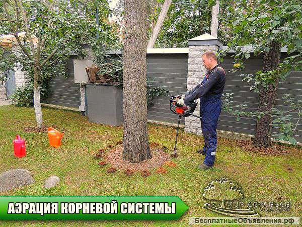 Личение деревьев