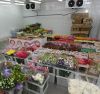 Сеть из 6 больших цветочных магазинов
