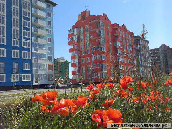 1-комнатную квартиру 40м2