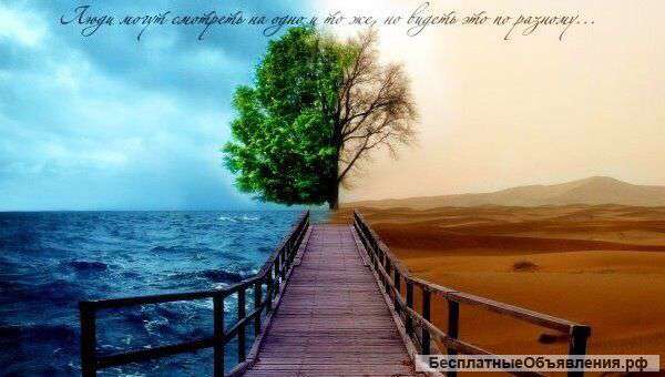 РЦ Альтернатива