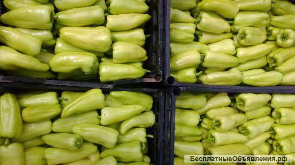 Сладкий перец