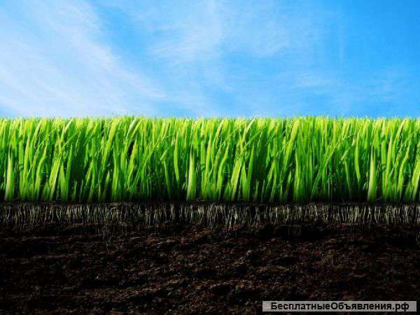 Чернозем. Песок. Щебень