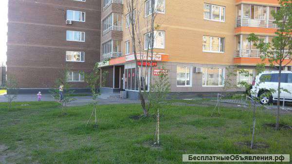 Продуктовый магазин