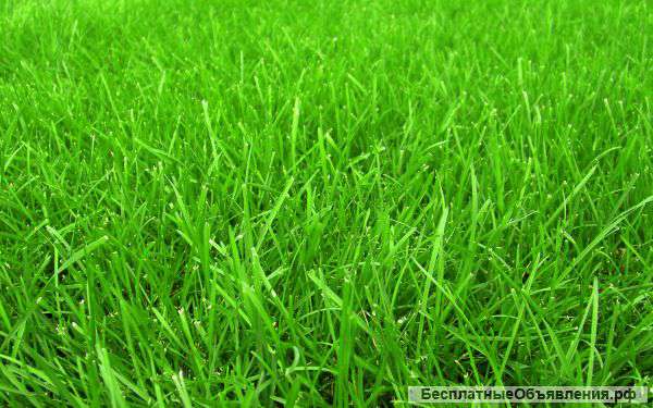 Доставка растительного грунта