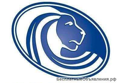 Торговый представитель (Центр, Васильевский, Петроградская)