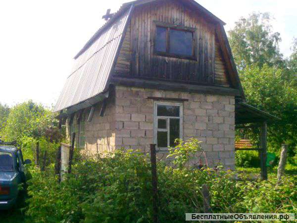 Сад в п. Рощино
