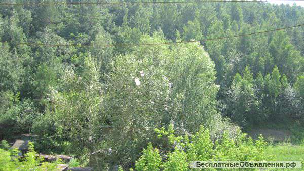 1 комнатную ДОК