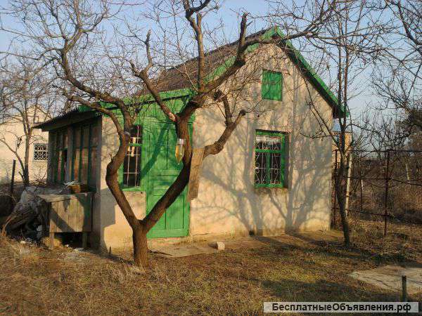 Дачу Крым,Саки