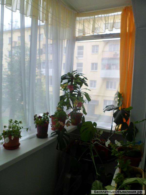 3-х комнатную квартиру