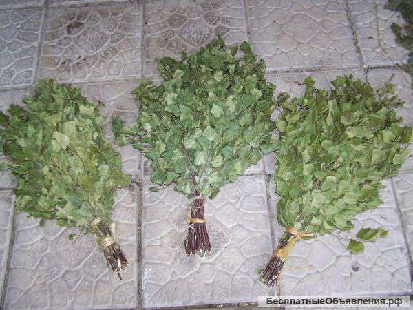 Банные березовые и дубовые веники