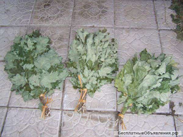 Банные березовые и дубовые веники