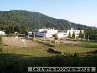 Требуется учитель