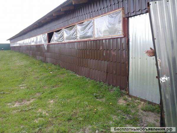 Фермерская база для разведения кроликов