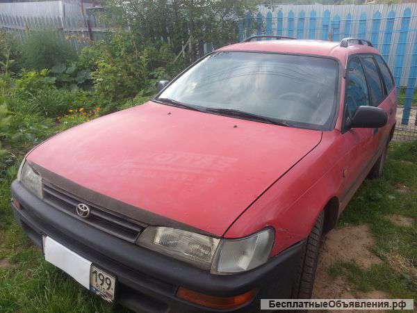 Toyta Corolla
