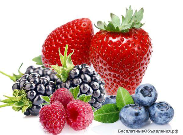 Свежие ягоды, овощи, фрукты, грибы