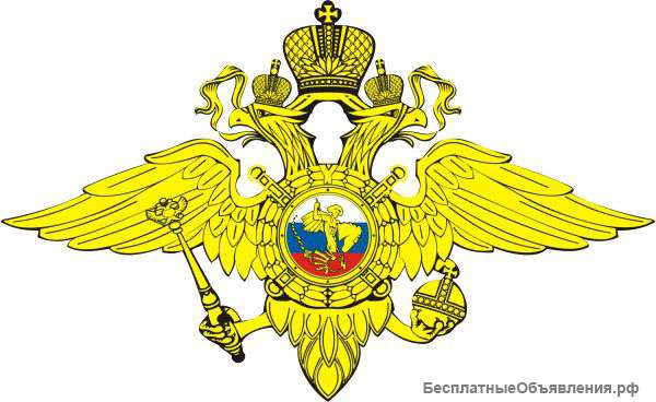 Служба в полиции
