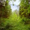 Лечение панического расстройства (комплекс из 7 сеансов)