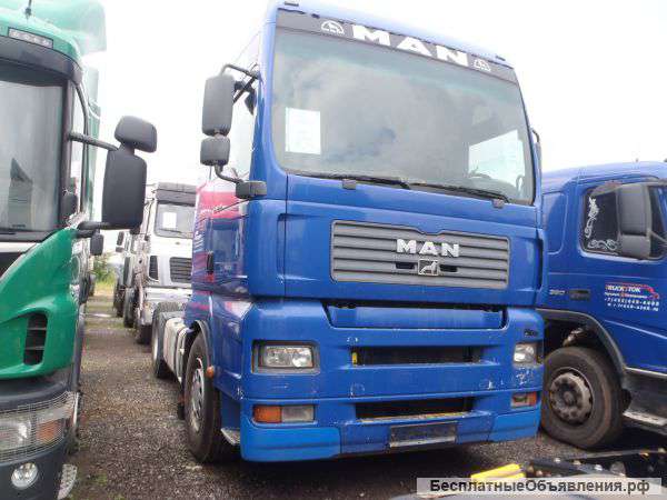 Man tga