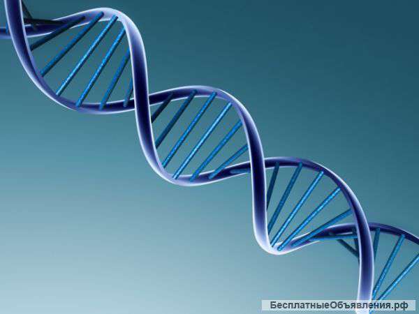 Экспертиза установления материнства