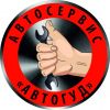 Авто электрик