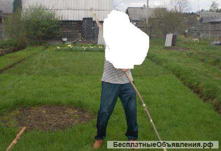 Участок 20 соток