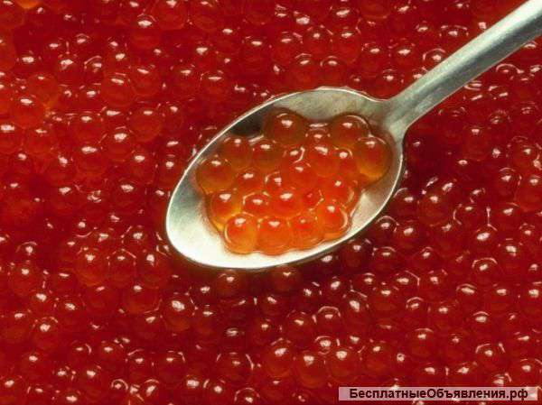 Морепродукты