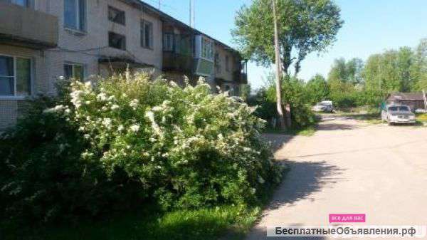 2-х комнатная квартира в Трёхселищах