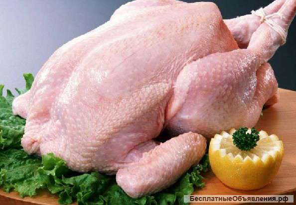 Мясо индейки оптом и в розницу