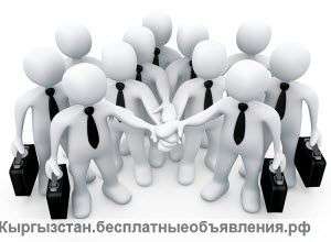 Заместитель руководителя