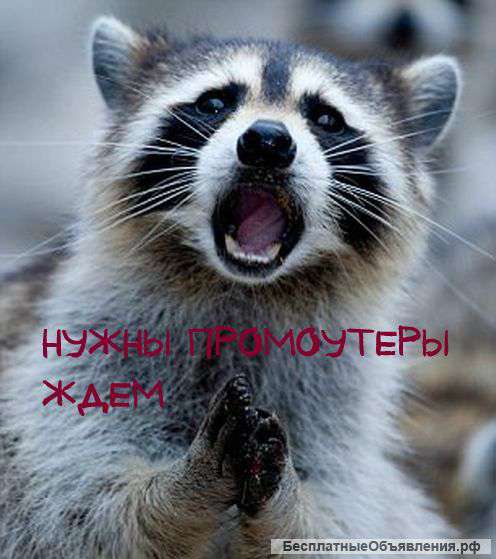 Требуется промоутер