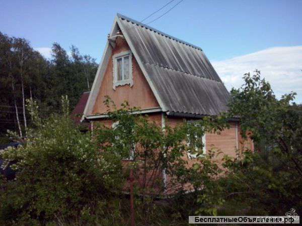 Дача с летним домом