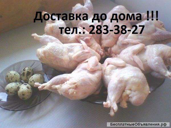 Тушки перепелов, мясо бройлера, яйцо диетическое