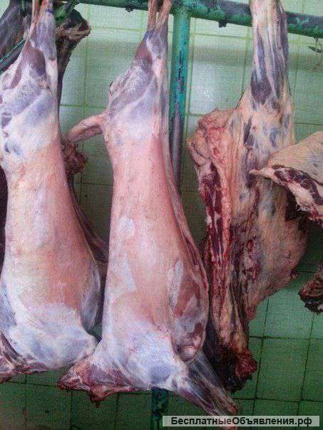 Баранина оптом
