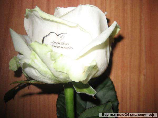 Цветочный принтер для успешного бизнеса