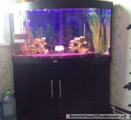 Аквариум в отличном состоянии