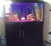 Аквариум в отличном состоянии