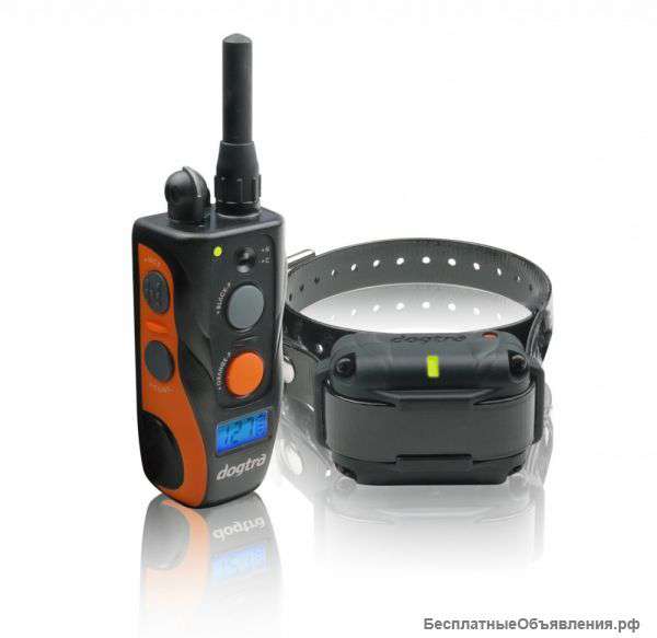 SureStim M Pro профессиональный электроошейник