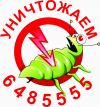 Клопы фото , укусы клопов фото