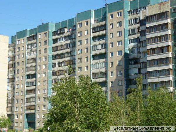 Сдаю 1 к. кв.