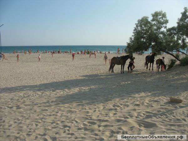 Сдаю номера с условиями у моря в Крыму