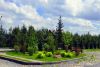 Лесной участок в коттеджном поселке