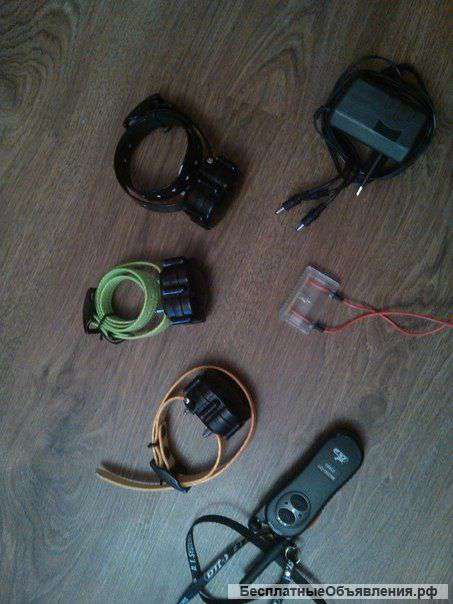 Электроошейник