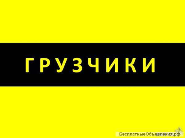 Вынос мусора. Грузчики. Переезды. Демонтаж