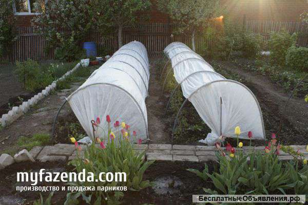Парники оптом