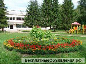 Летний лагерь для детей в Ярославской области