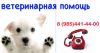 Ветеринарная помощь Зюзино