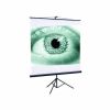 Экран для проектора на штативе 150x150 см Apollo-T MW STM-11010
