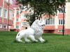 Студию 47 кв.м в Новой Москве Все рядом