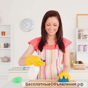 Профессиональная уборка. Химчистка ковров, мебели.