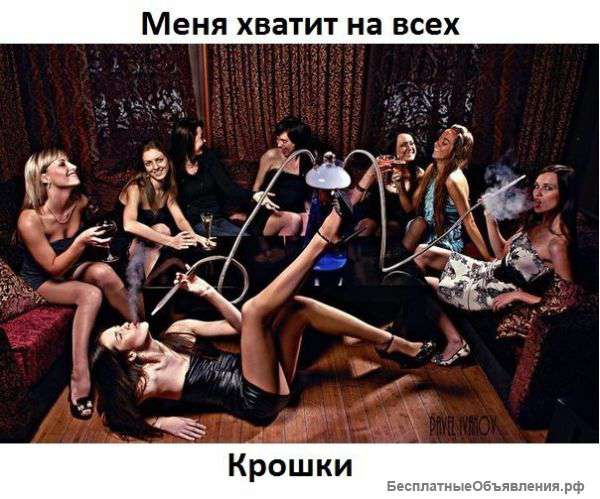 Заказ кальяна на дом, на мероприятия